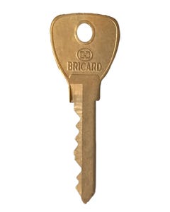 Bricard 6306002  -  ANCIEN 6 GOUPILLES Individual Key